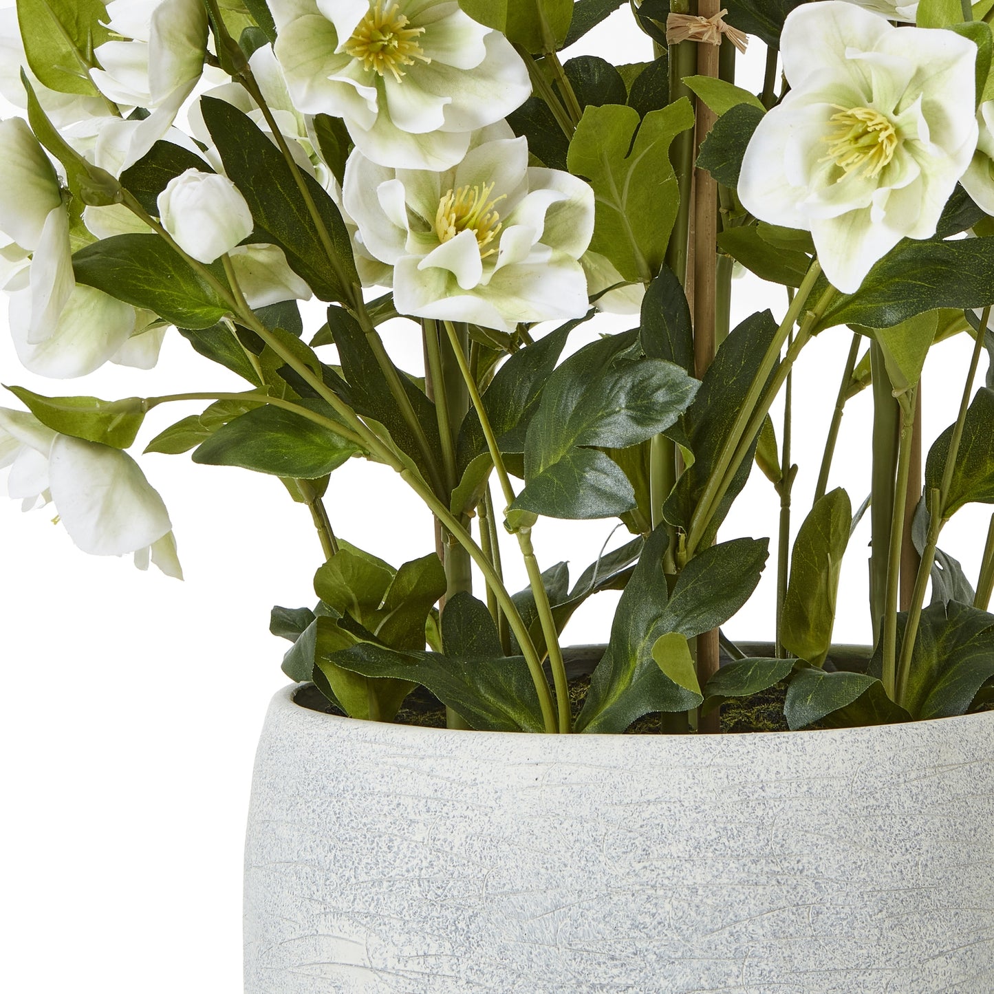 Large White Hellebore In Grey Pot - All Artificial Flowers from the Quanta Home collection.