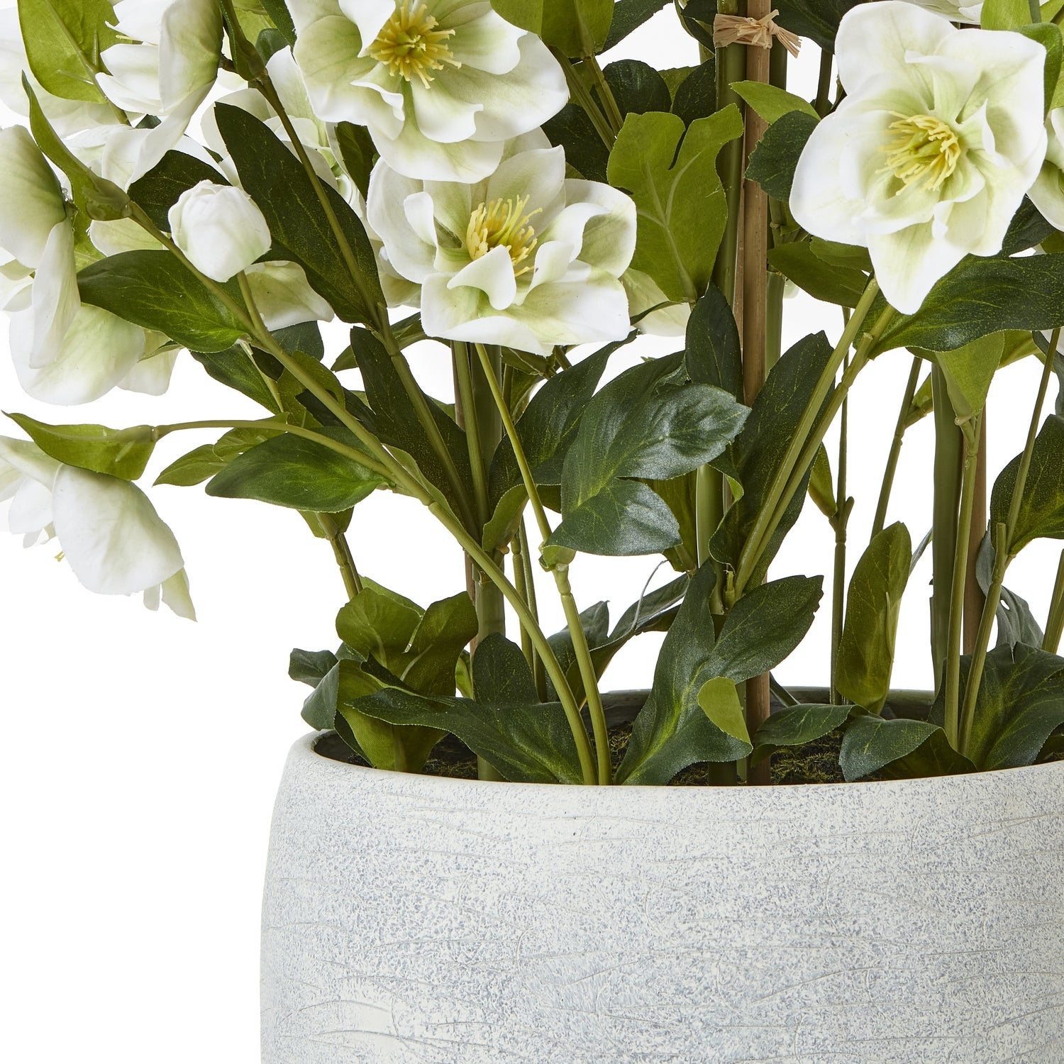 Large White Hellebore In Grey Pot - All Artificial Flowers from the Quanta Home collection.