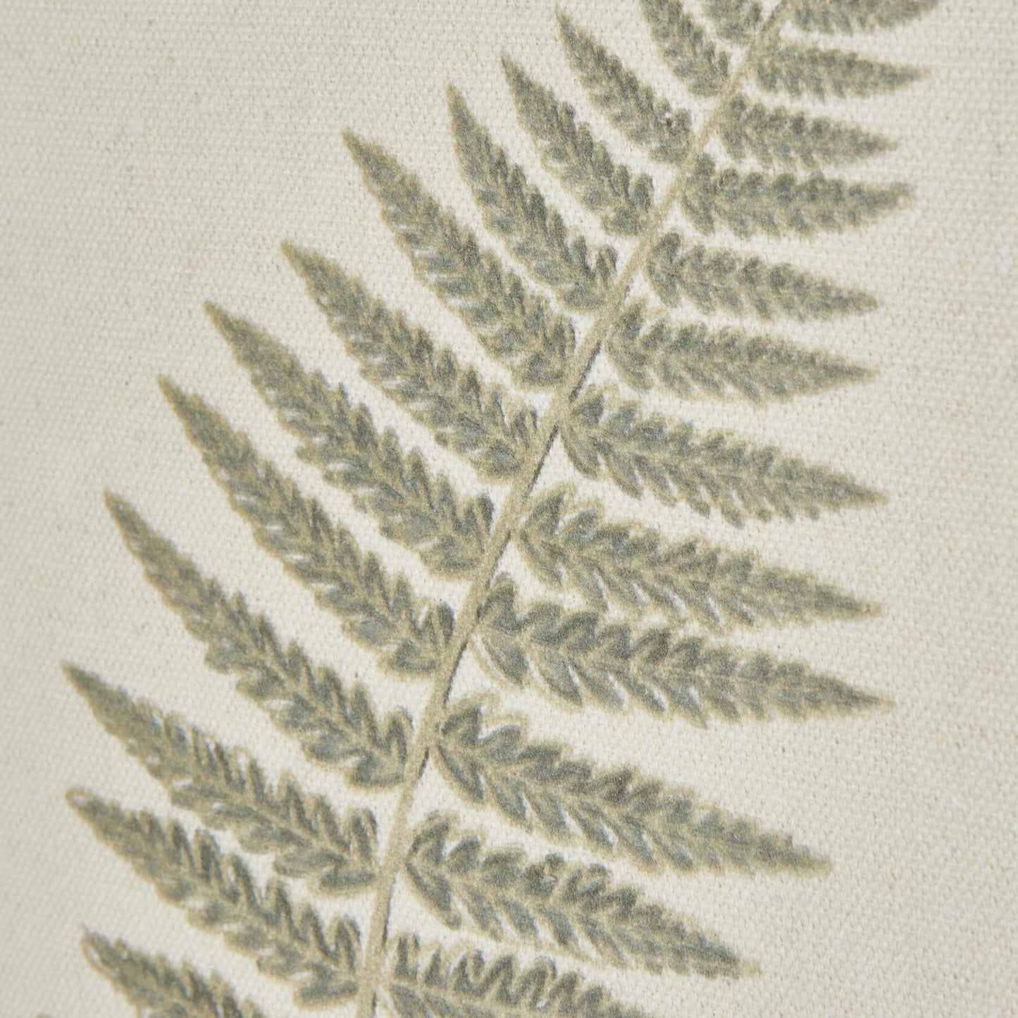 Fern Art On Texture-Torn Paper With Beaded Frame - Printed Art from the Quanta Home collection.