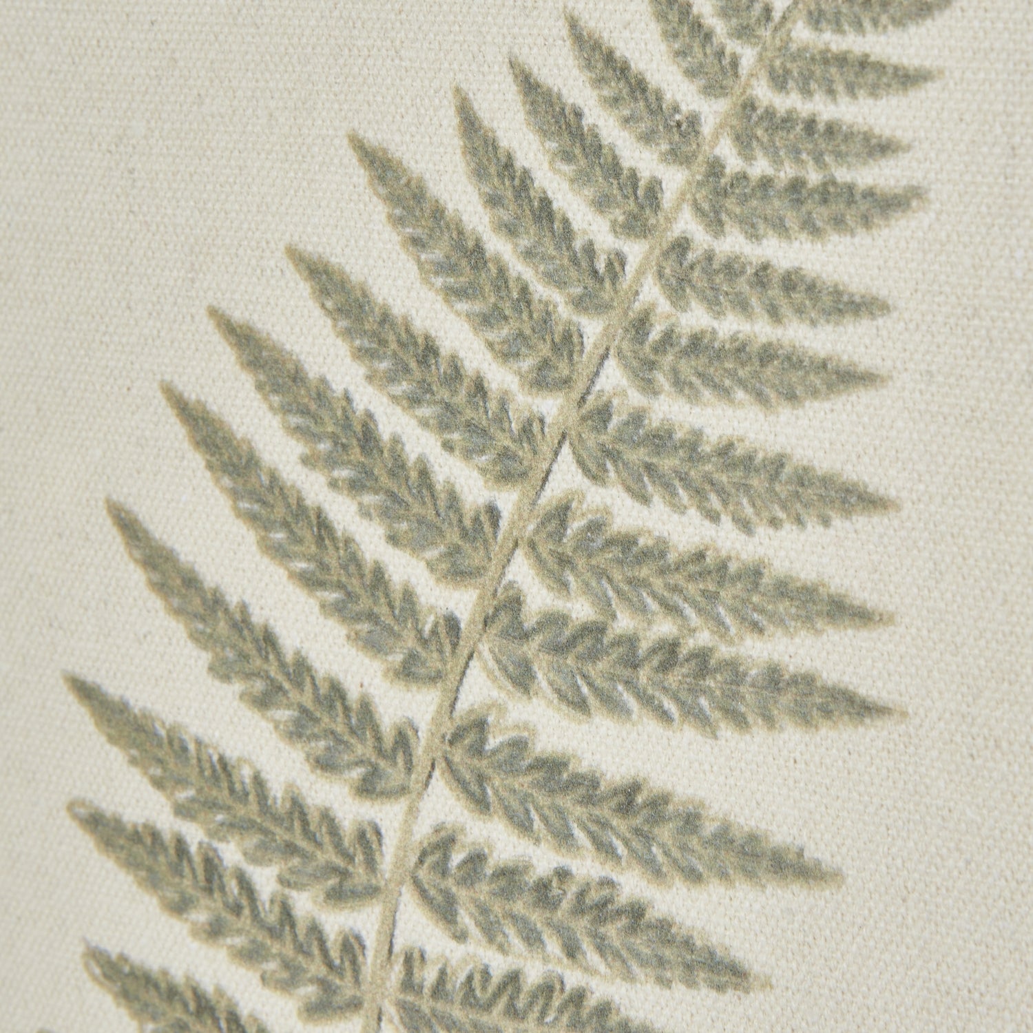 Fern Art On Texture-Torn Paper With Beaded Frame - Printed Art from the Quanta Home collection.