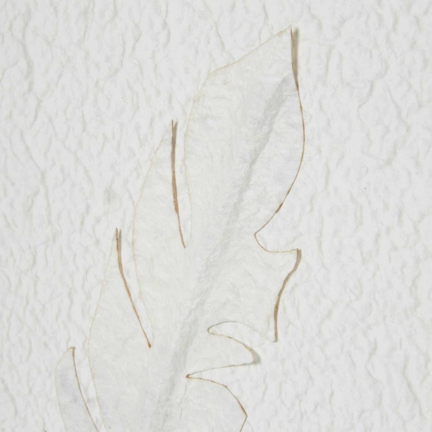 Solli White Feathers Art Mounted In Beaded Frame - Handpainted Art from the Quanta Home collection.