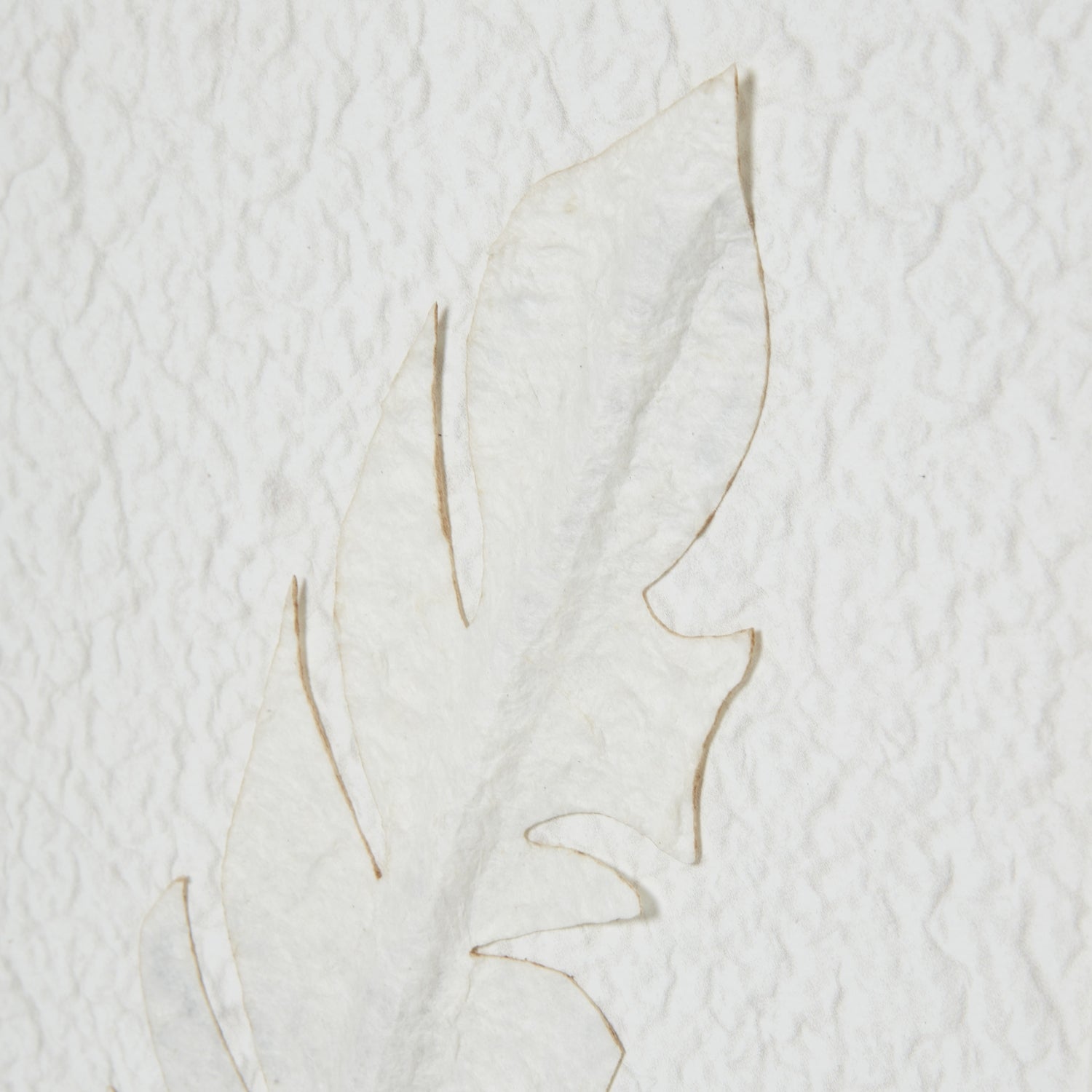 Solli White Feathers Art Mounted In Beaded Frame - Handpainted Art from the Quanta Home collection.