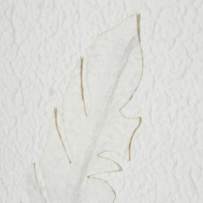 Solli White Feathers Art Mounted In Beaded Frame - Handpainted Art from the Quanta Home collection.