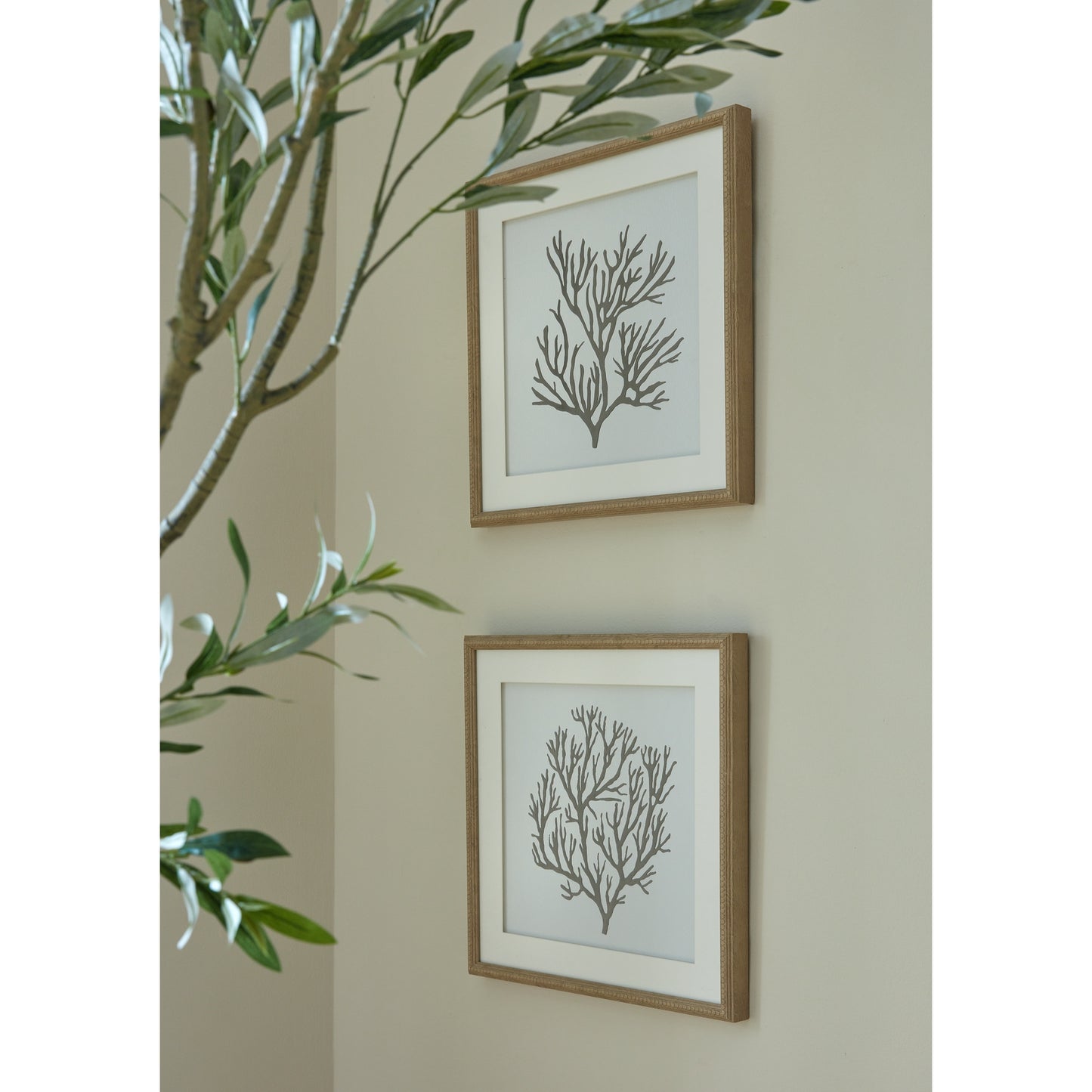 Atol Coral Art Mounted In Beaded Frame - Printed Art from the Quanta Home collection.