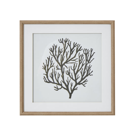 Atol Coral Art Mounted In Beaded Frame - Printed Art from the Quanta Home collection.