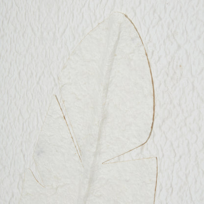 Large Quill White Feather Art Mounted In Beaded Frame - Handpainted Art from the Quanta Home collection.
