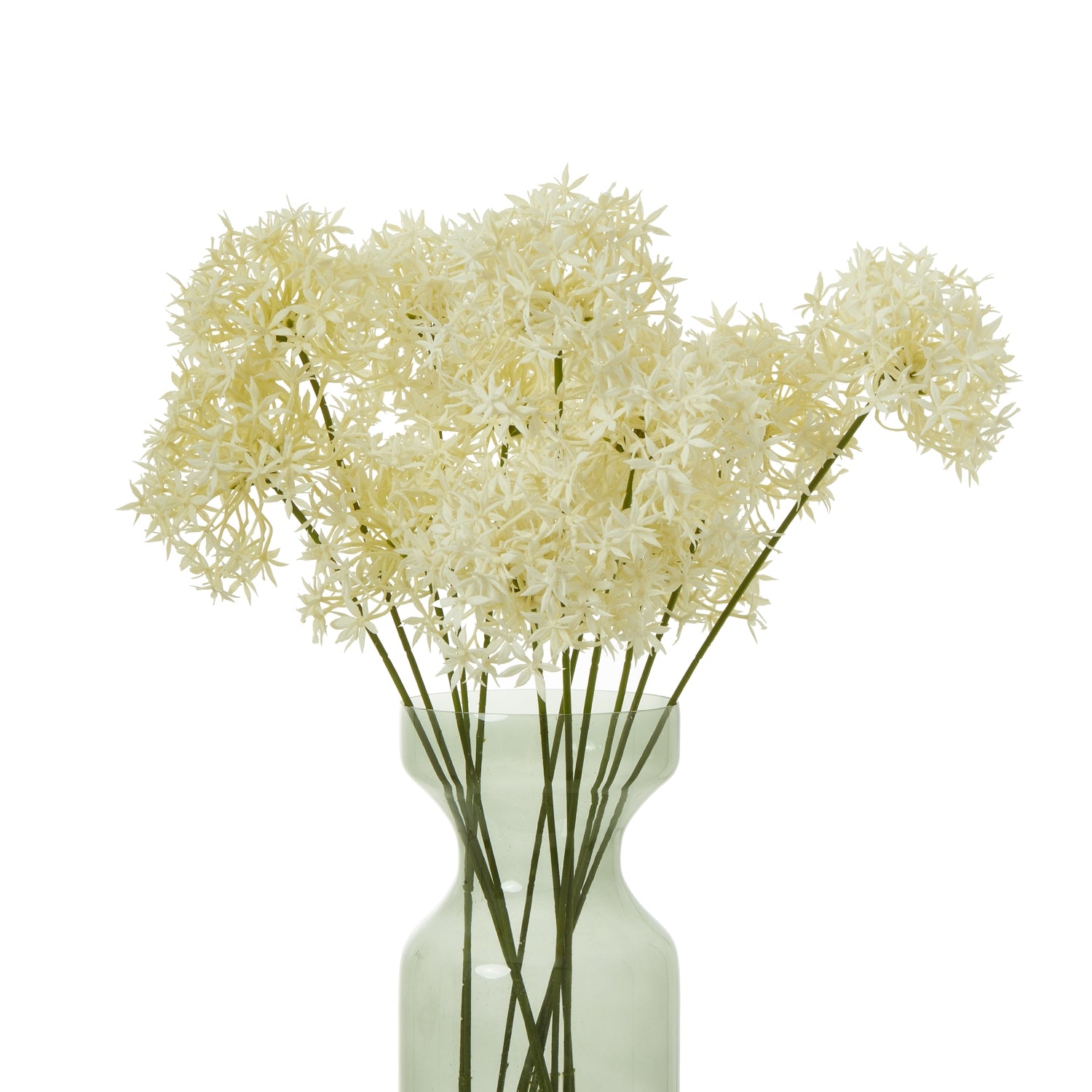 Delicate white Allium blooms arranged in a curved, light green vase, adding elegance and sophistication to any space.