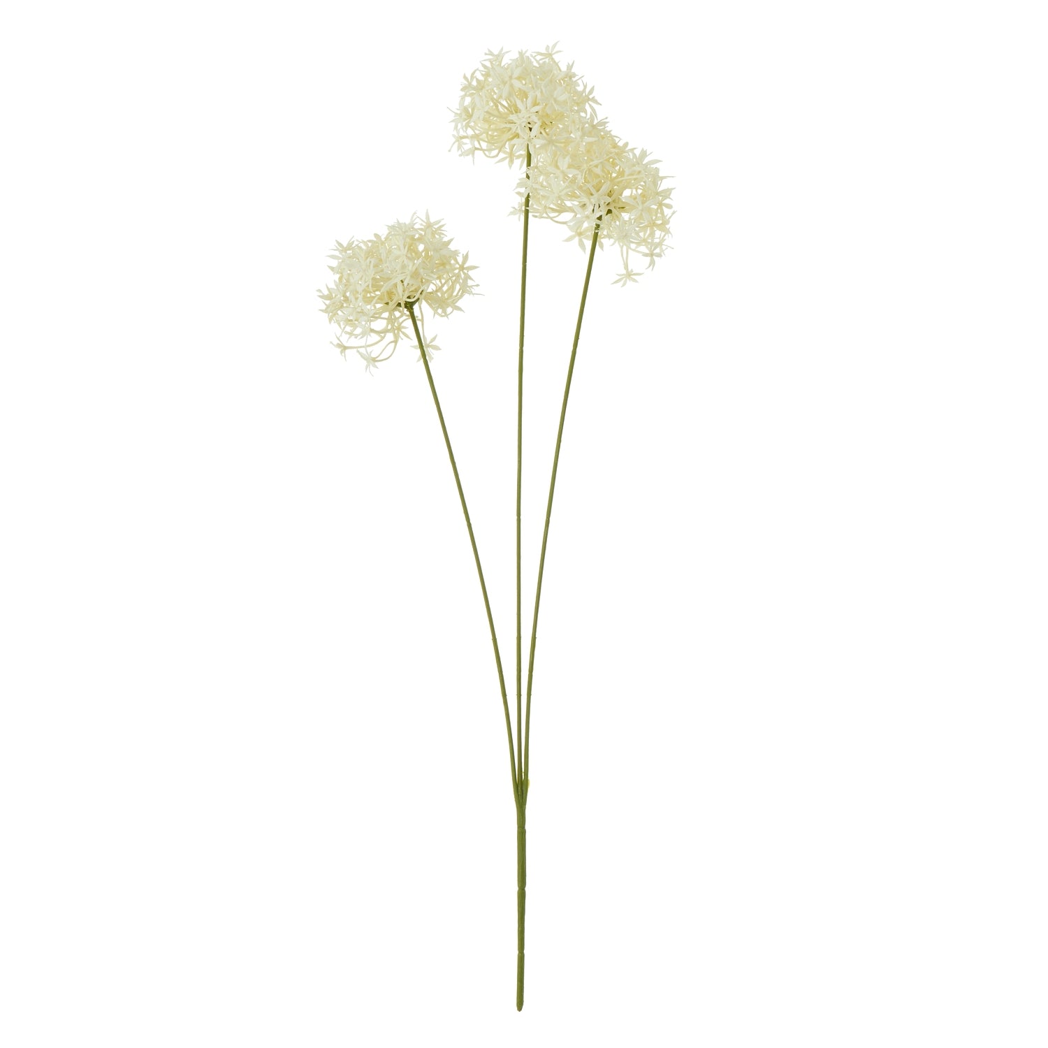 Three elegant white allium blooms on long green stems, showcasing delicate lacy petals for a refined decor accent.