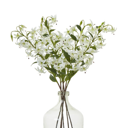 Turks Cap Green Lily Spray - Single Stem Flowers from the Quanta Home collection.