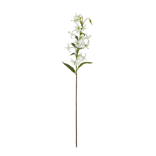 Turks Cap Green Lily Spray - Single Stem Flowers from the Quanta Home collection.