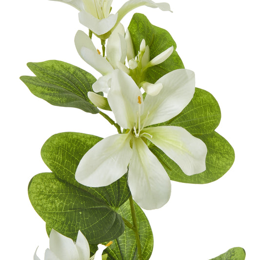 Elegant cream Bauhinia orchid blooms with green leaves, offering a lifelike and sophisticated touch for home decor.