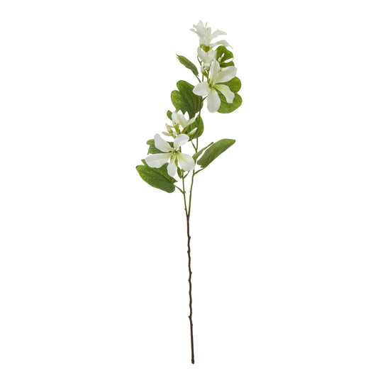 Cream Bauhinia Orchid Spray - Single Stem Flowers from the Quanta Home collection.