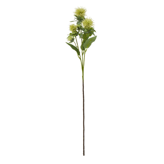 Green Safflower Spray - Single Stem Flowers from the Quanta Home collection.