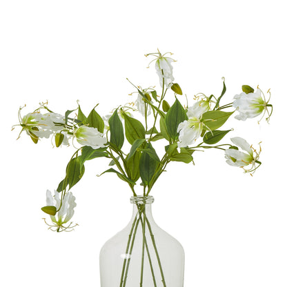 Cream Gloriosa Spray - Single Stem Flowers from the Quanta Home collection.