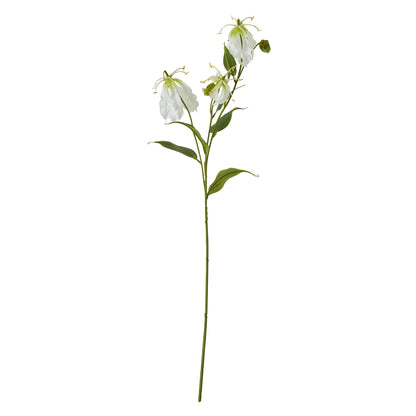 Cream Gloriosa Spray - Single Stem Flowers from the Quanta Home collection.