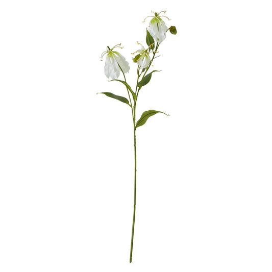 Cream Gloriosa Spray - Single Stem Flowers from the Quanta Home collection.