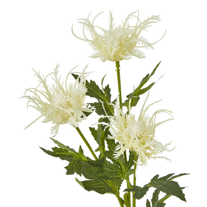 Cream Sea Holly Spray - Single Stem Flowers from the Quanta Home collection.