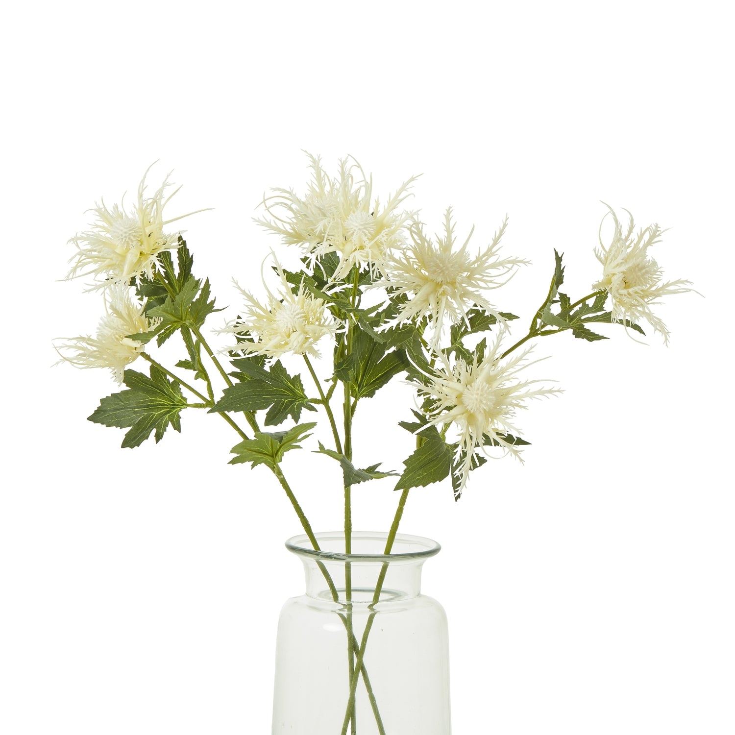 Creamy, feathery blooms of artificial sea holly in a glass vase, evoking coastal tranquility with luxurious detail.