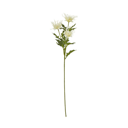 Cream Sea Holly Spray - Single Stem Flowers from the Quanta Home collection.