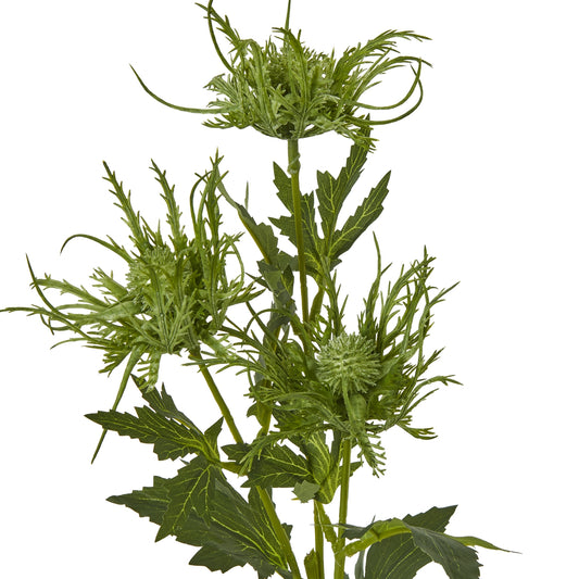Vibrant green sea holly spray with spiny foliage and intricate blooms, ideal for adding elegance to any decor style.