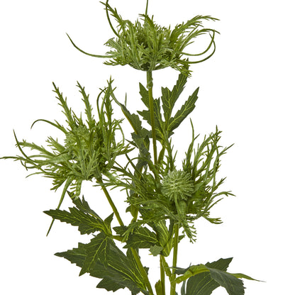 Green Sea Holly Spray - Single Stem Flowers from the Quanta Home collection.