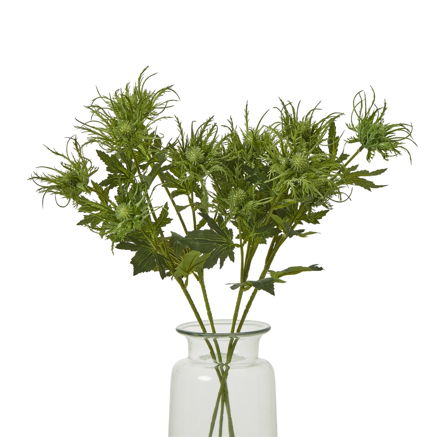 Lifelike green sea holly spray featuring spiky foliage and delicate blooms, arranged in a clear glass vase.