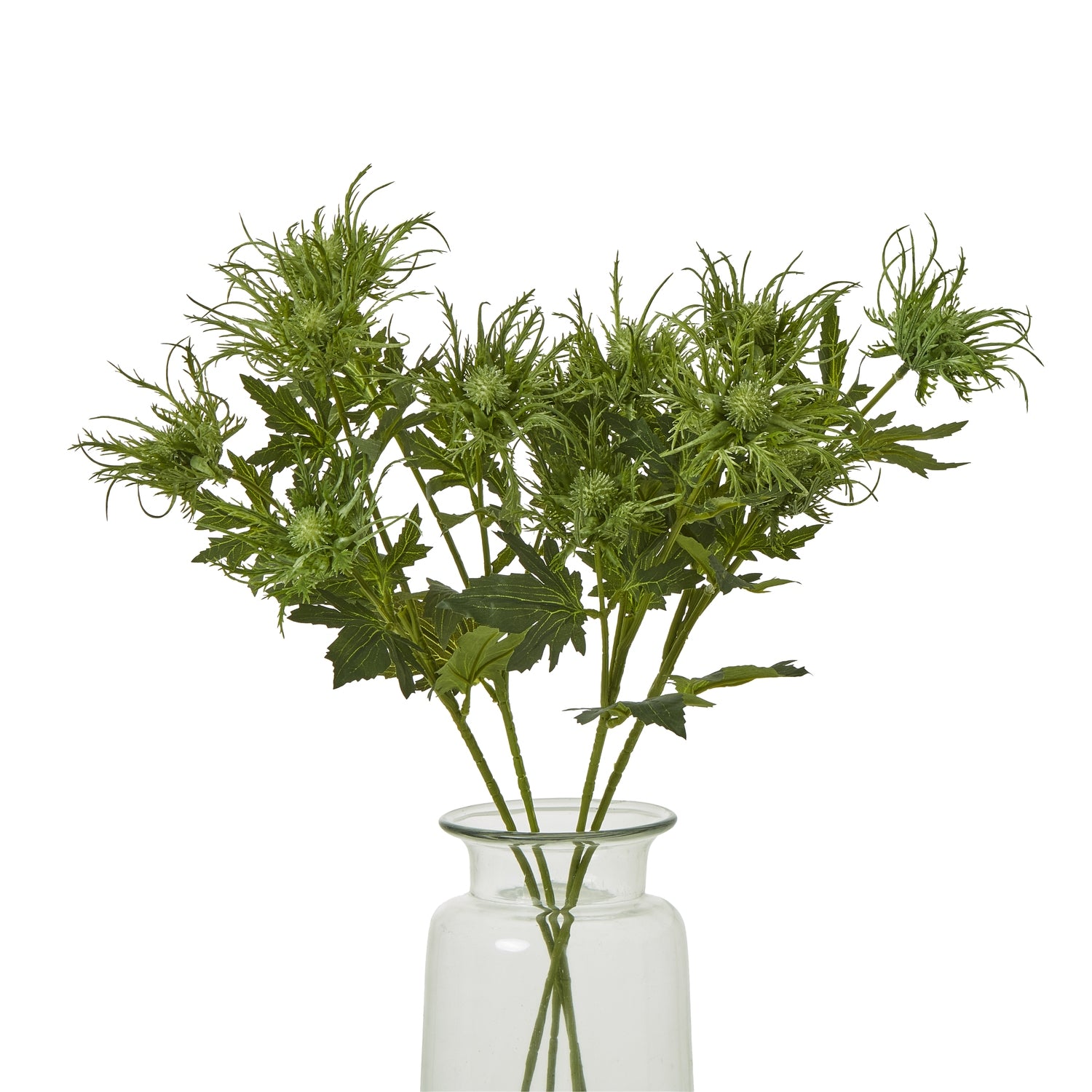 Lifelike green sea holly spray featuring spiky foliage and delicate blooms, arranged in a clear glass vase.