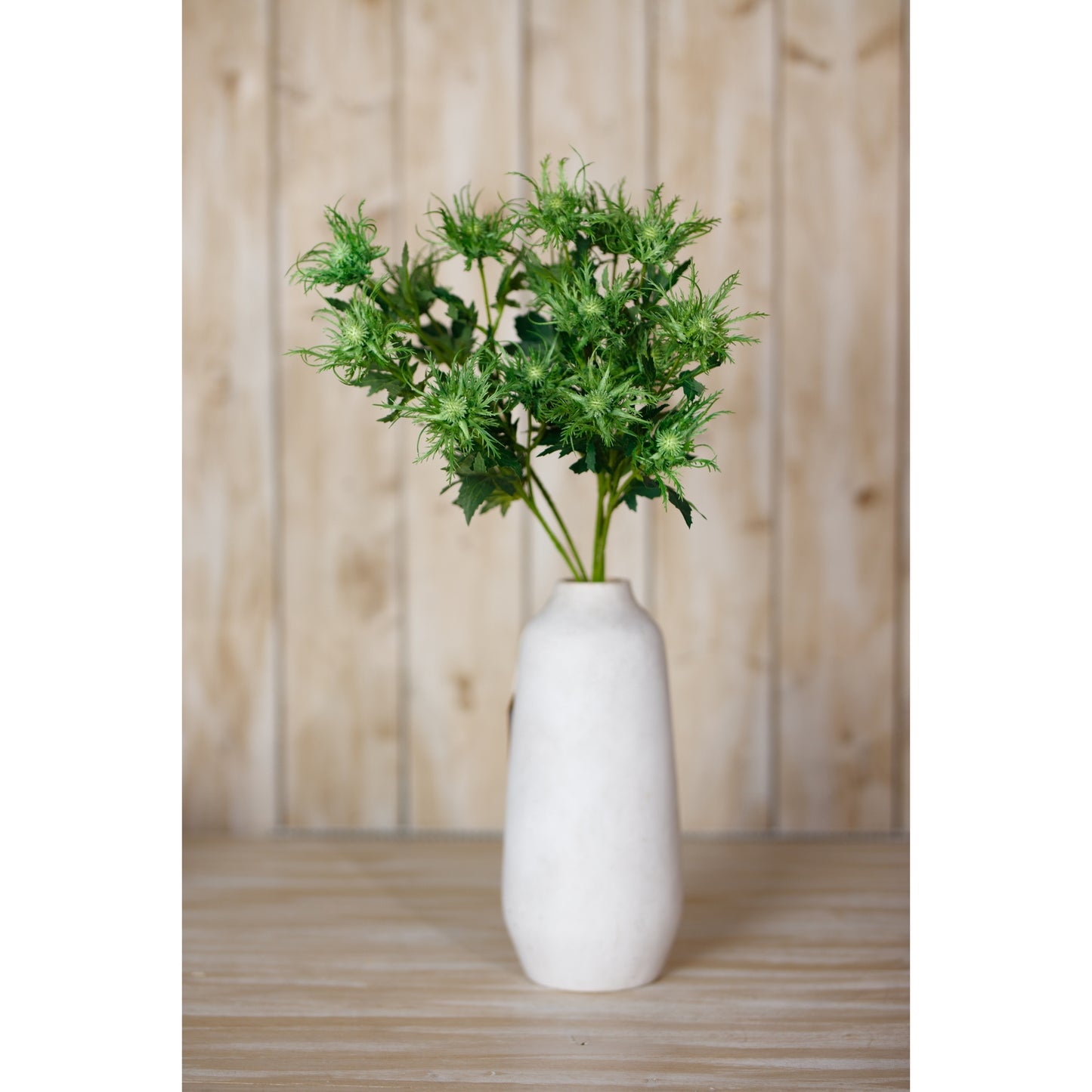 Vibrant green sea holly spray with spiny foliage in a textured white vase, perfect for adding a natural touch to decor.