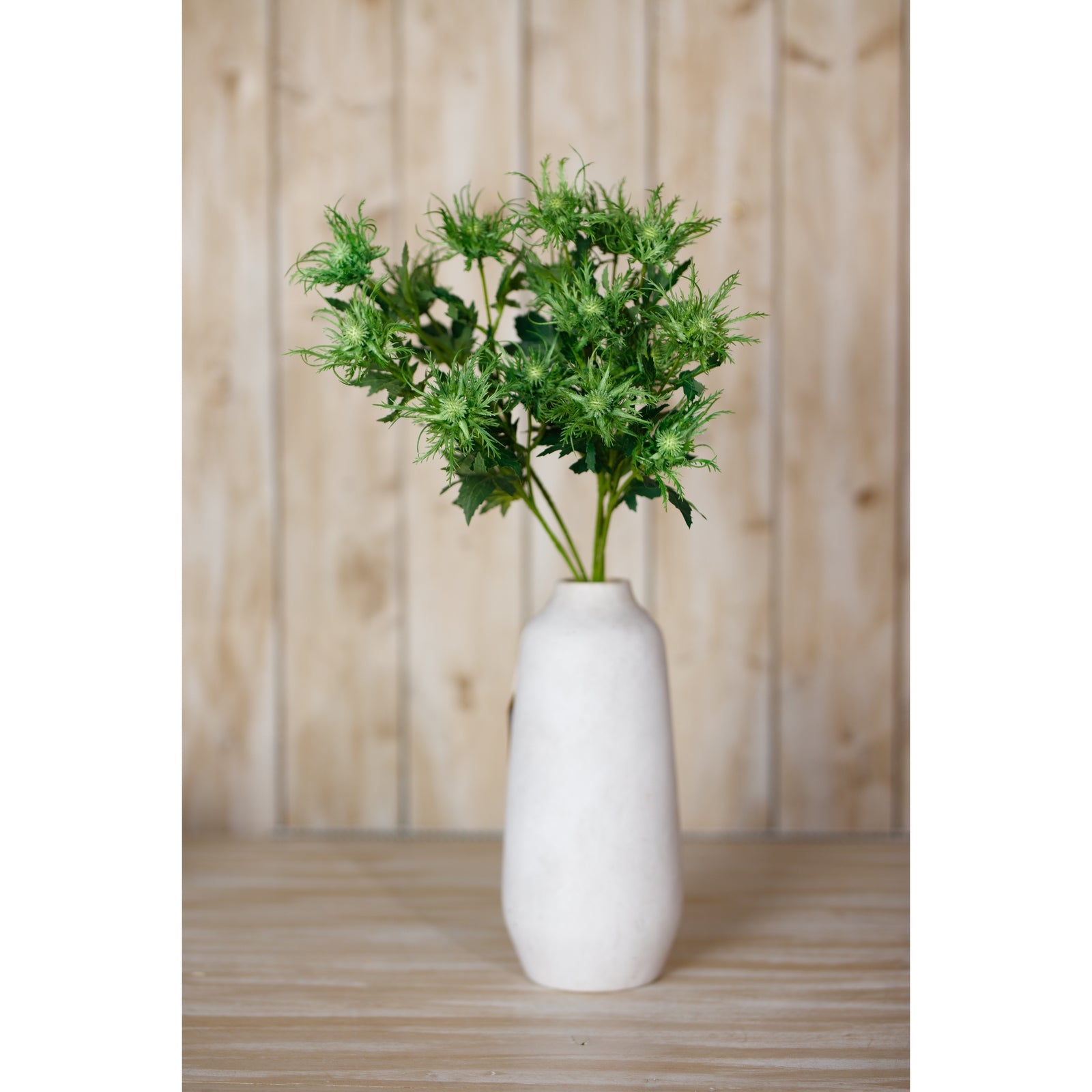 Vibrant green sea holly spray with spiny foliage in a textured white vase, perfect for adding a natural touch to decor.