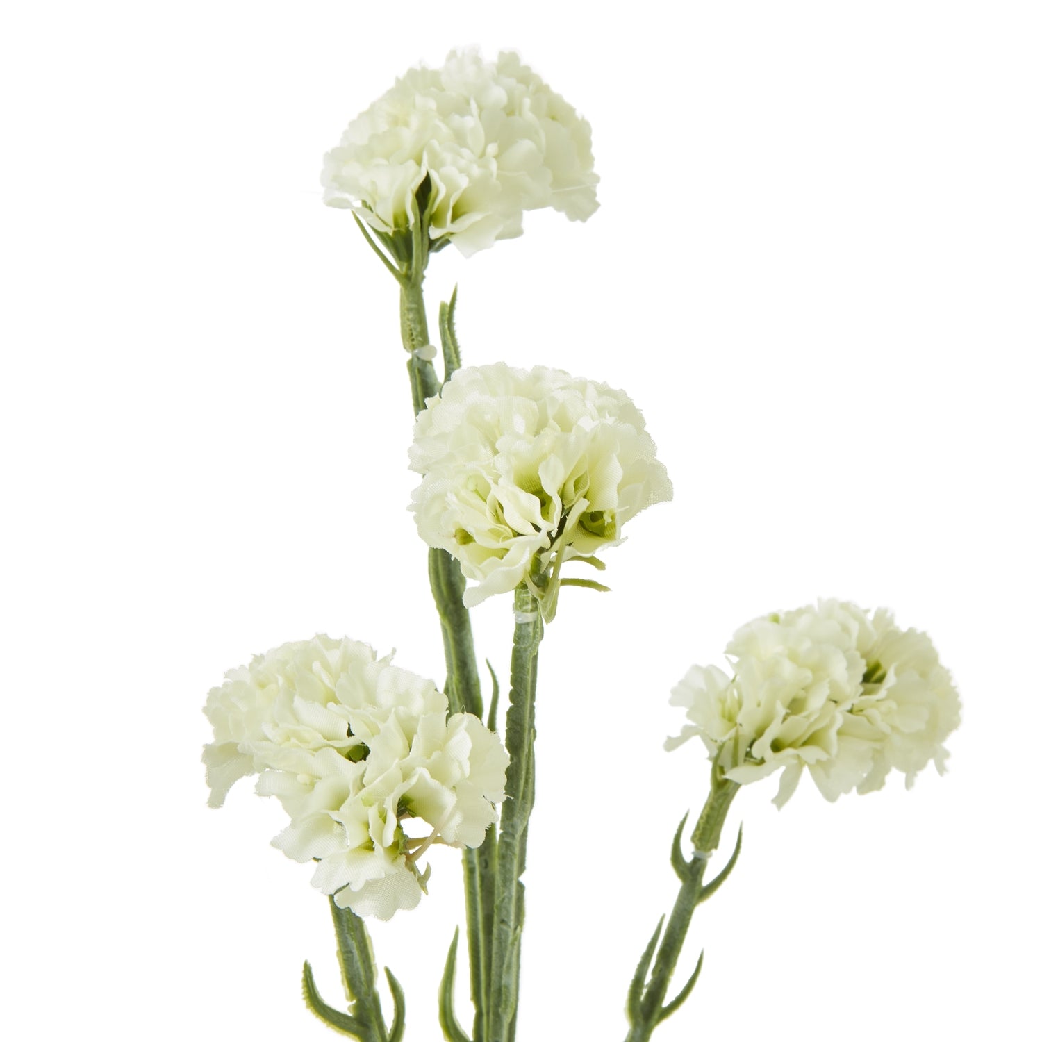 Delicate cream statice spray with textured, paper-like blooms and slender stems, ideal for minimalist decor and floral arrangements.