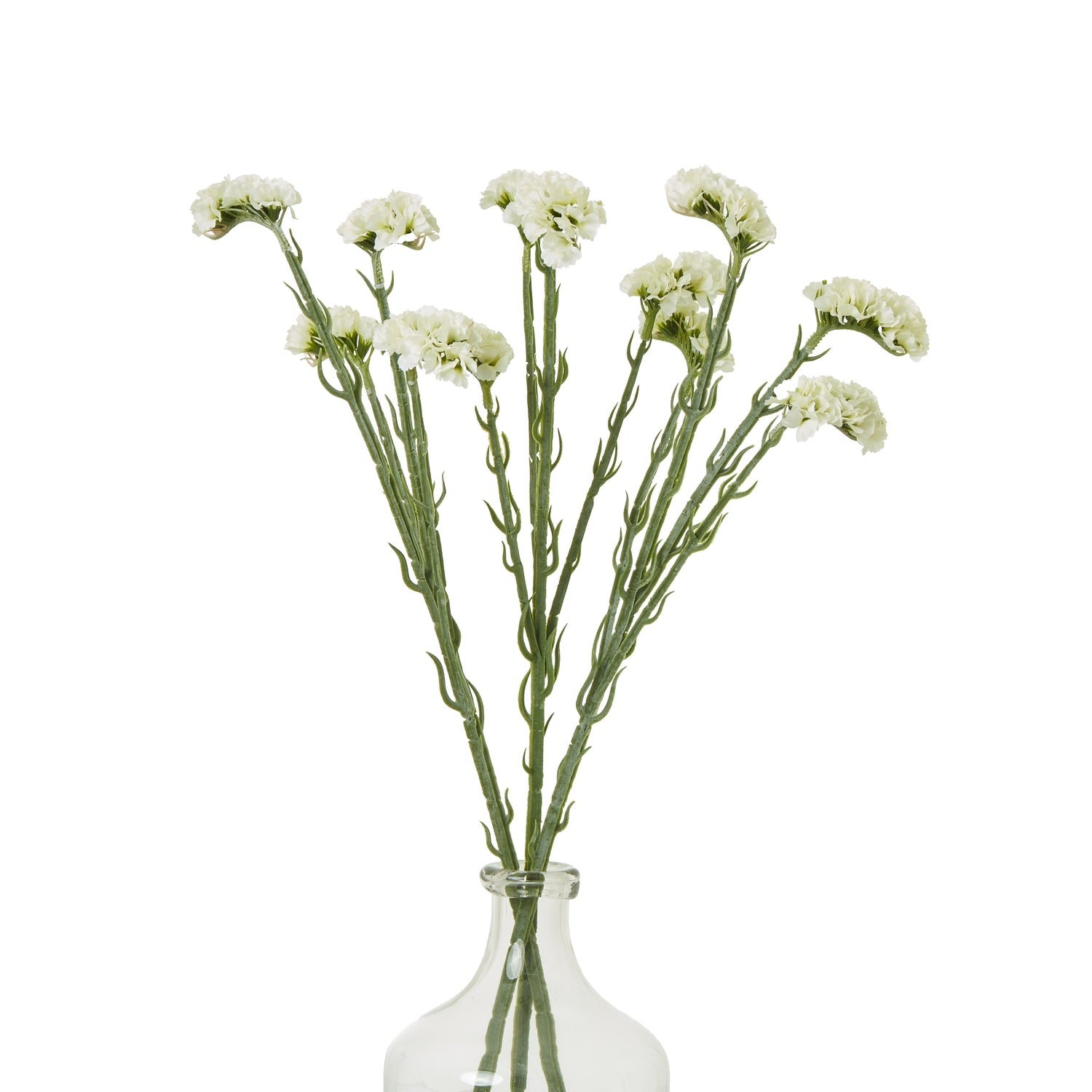 Delicate cream statice spray with paper-like blooms and graceful stems, arranged in a clear glass vase, perfect for elegant decor.