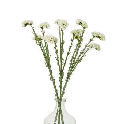 Cream Statice Spray - Single Stem Flowers from the Quanta Home collection.