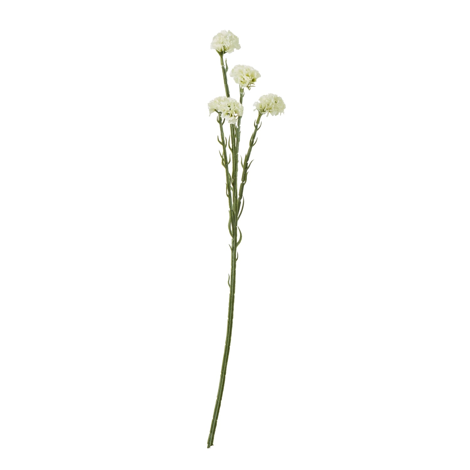 Elegant red cream statice spray featuring delicate paper-like blooms atop graceful green stems, ideal for sophisticated decor.