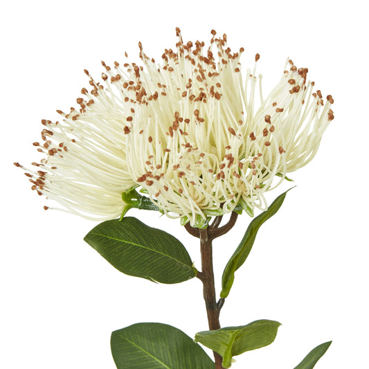 Luxurious faux Protea Nitida stem featuring creamy-white blooms with intricate centers and lush green leaves, enhancing any decor.