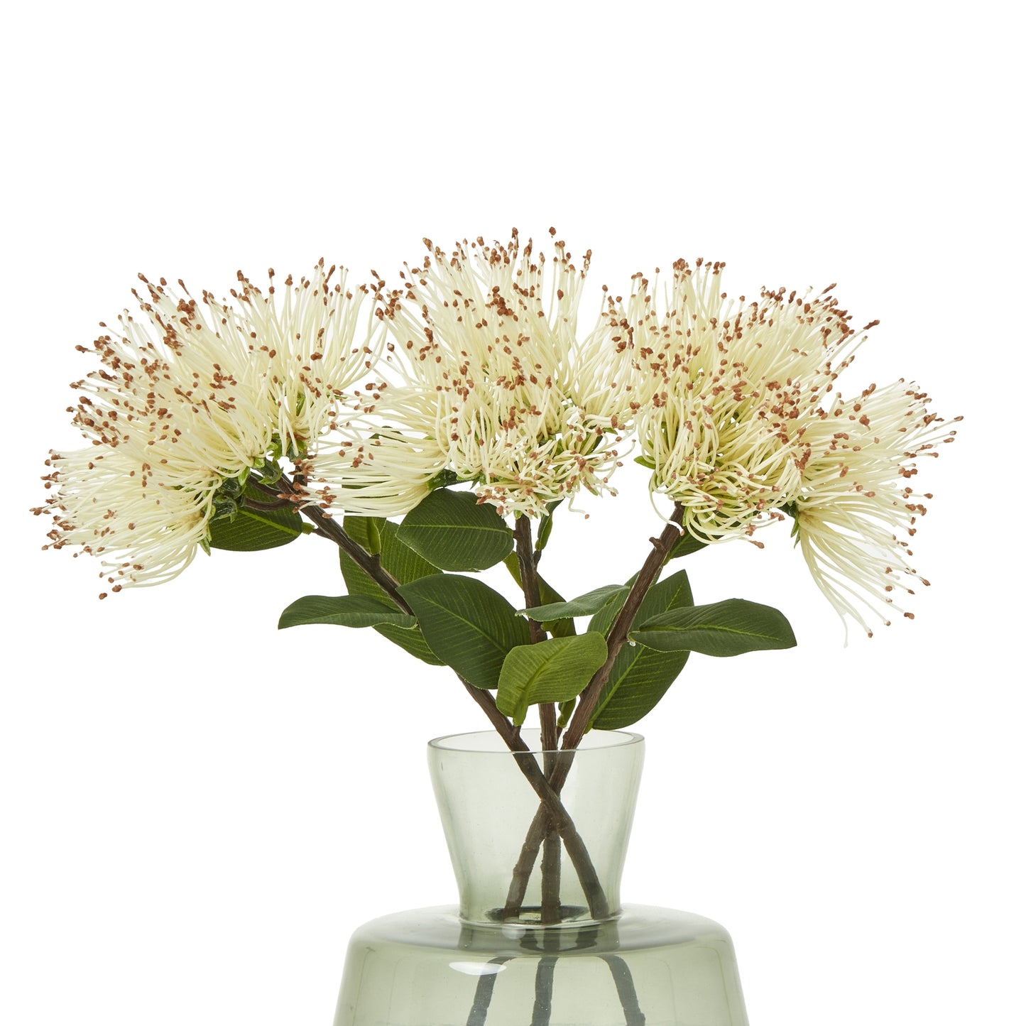 Luxurious faux Protea Nitida stem with creamy-white blooms and lush green leaves, set in a clear vase, ideal for elegant decor.