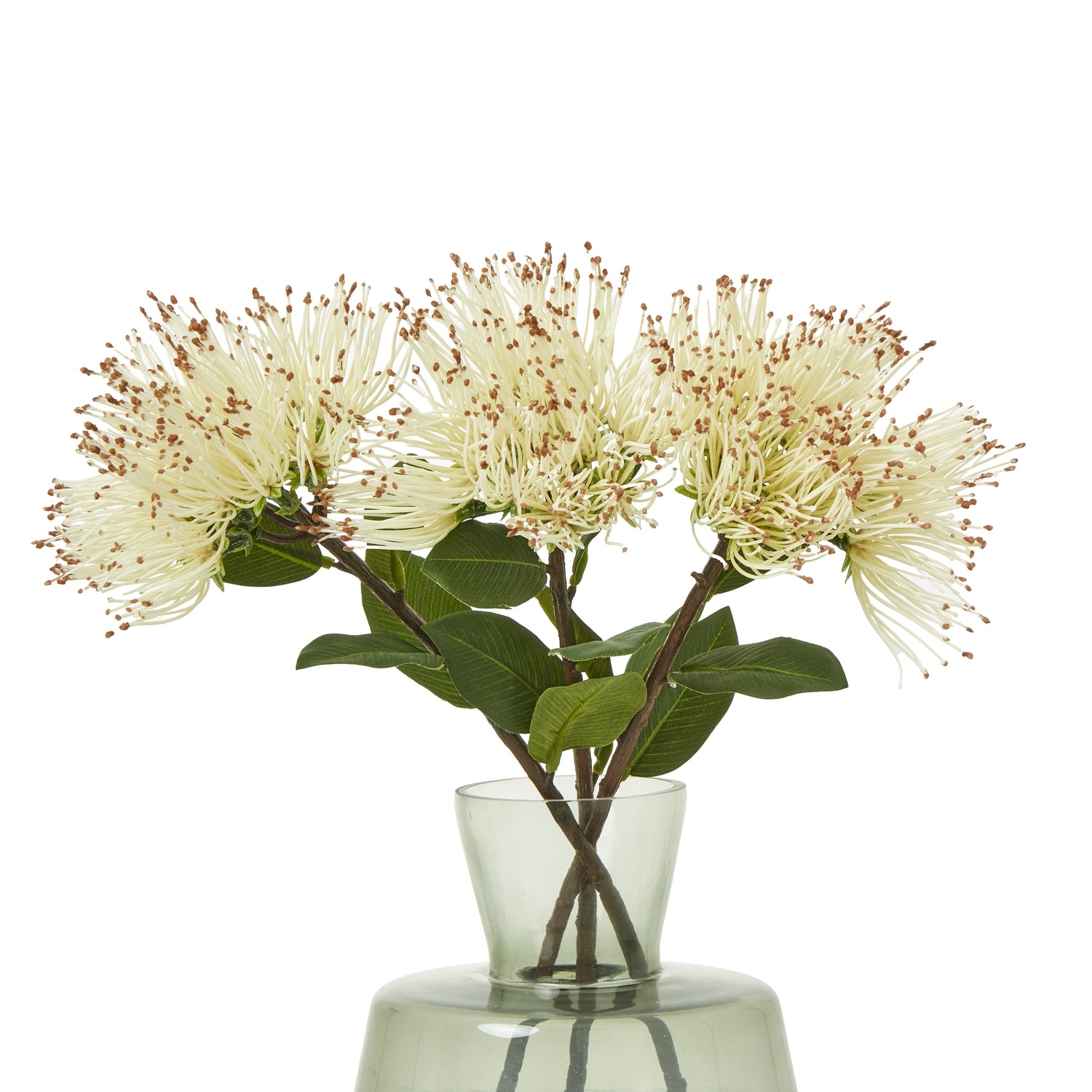 Luxurious faux Protea Nitida stem with creamy-white blooms and lush green leaves, set in a clear vase, ideal for elegant decor.