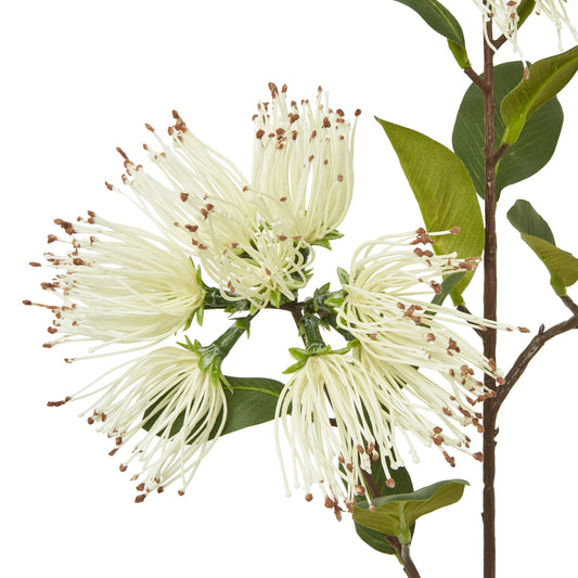 Realistic cream protea nitida spray with delicate ivory blooms and lush green leaves, perfect for elegant home decor.