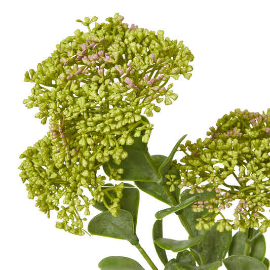 Lush green faux Sedum Spray showcasing detailed foliage with soft pink tips, ideal for enhancing modern or rustic decor.