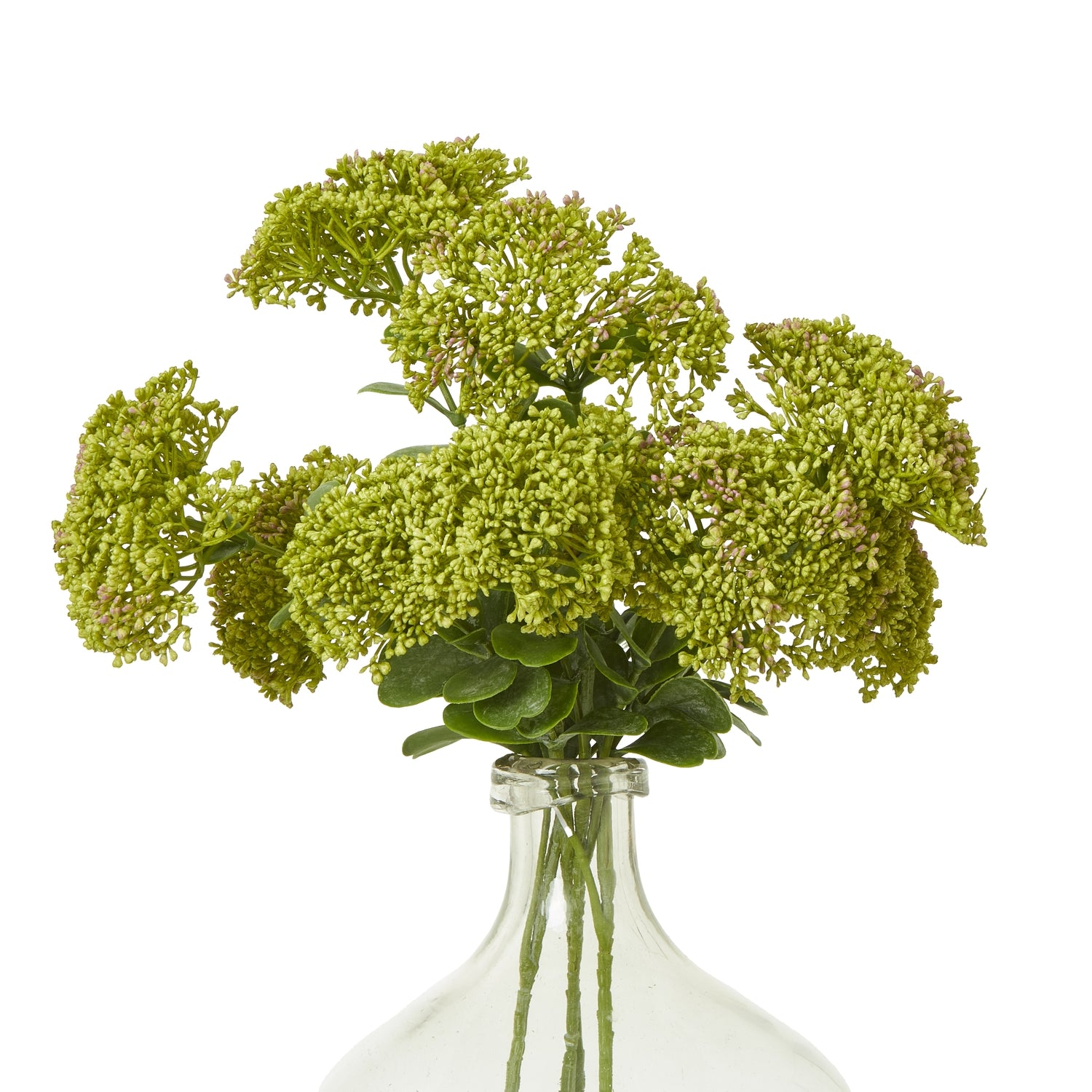 Lush green faux Sedum Spray with detailed leaves and clusters, elegantly arranged in a clear glass vase.