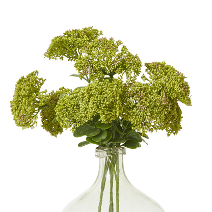 Green Sedum Spray - Single Stem Flowers from the Quanta Home collection.