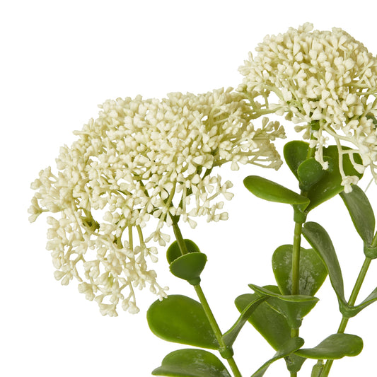 Cream Sedum Spray with delicate white clustered flowers and lush green leaves, perfect for enhancing home decor and floral arrangements.