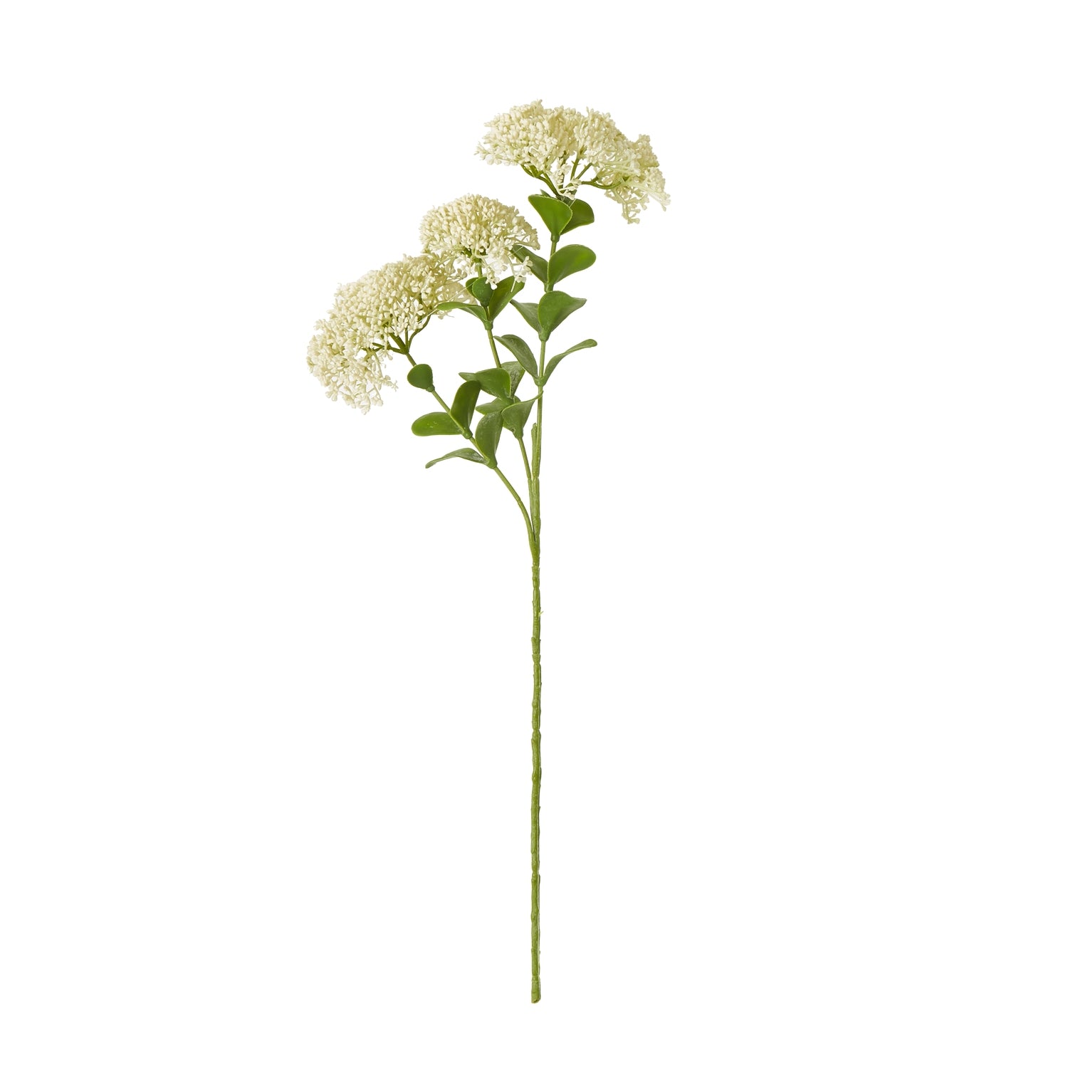 Cream Sedum Spray features delicate clustered cream flowers atop a long green stem with lush foliage, ideal for elegant decor.