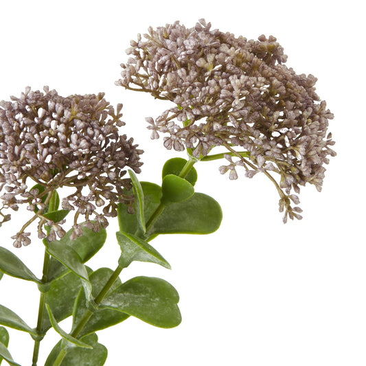 Purple sedum spray features delicate purple blooms and lush green foliage, adding elegant charm to any space.