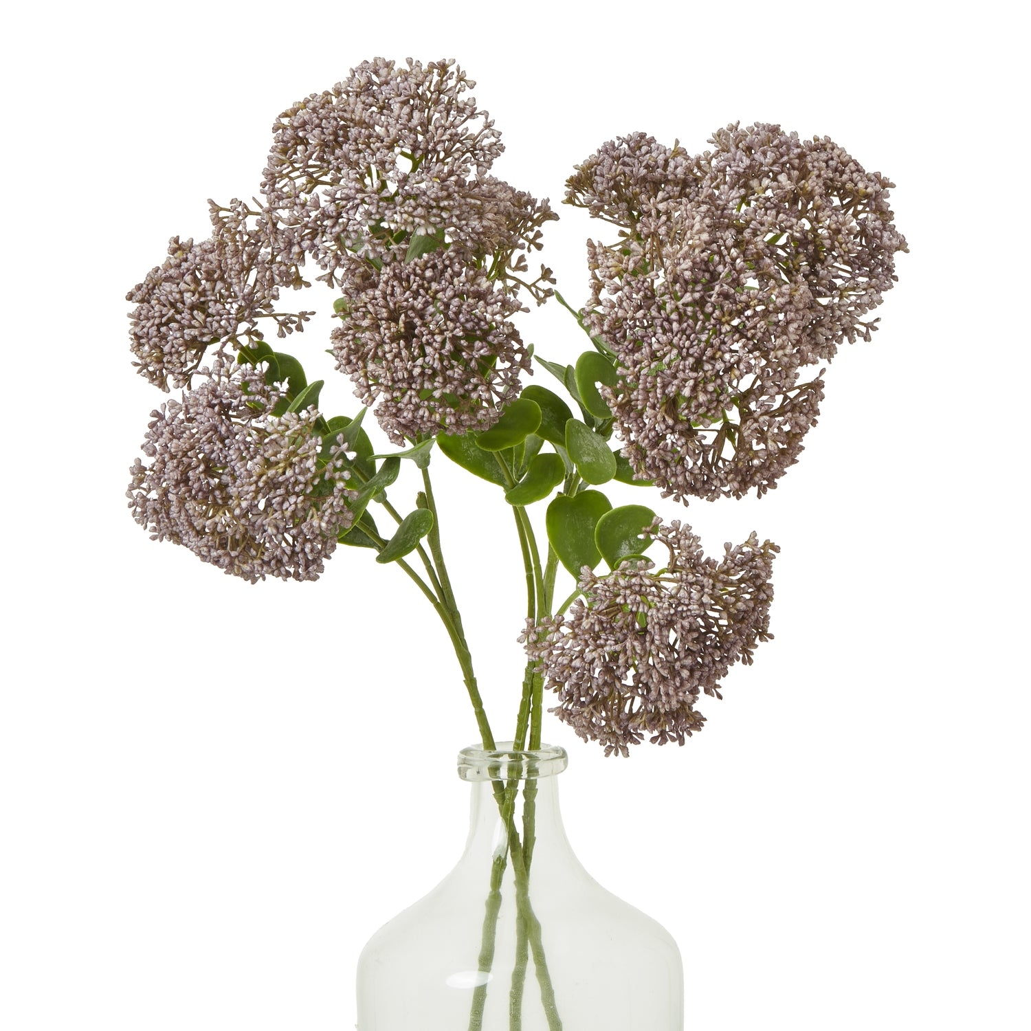 Delicate purple Sedum blooms with lush green leaves in a clear glass vase, adding elegance to any decor.