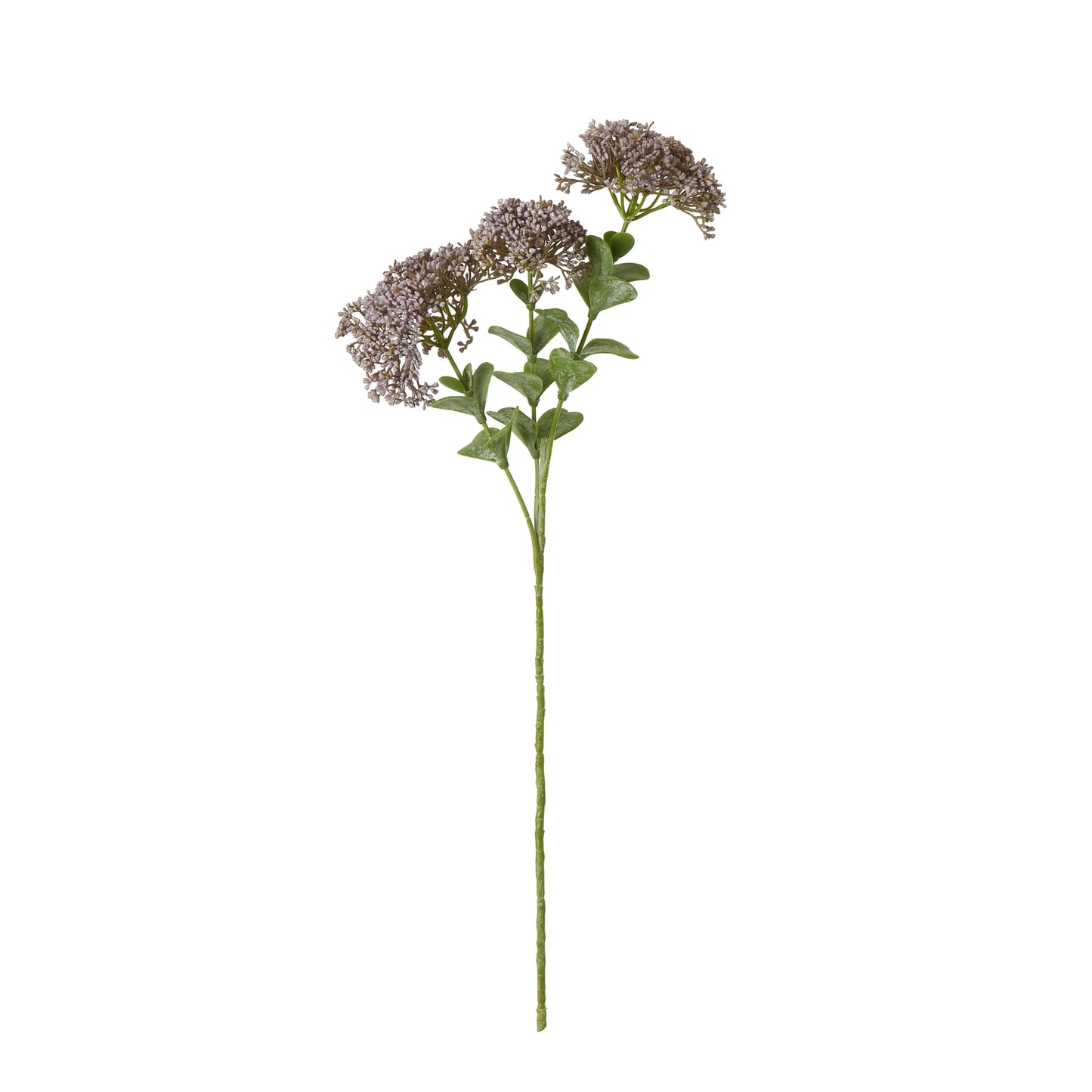 Purple Sedum stem featuring delicate purple blooms and lush green leaves, ideal for elegant arrangements or standalone displays.