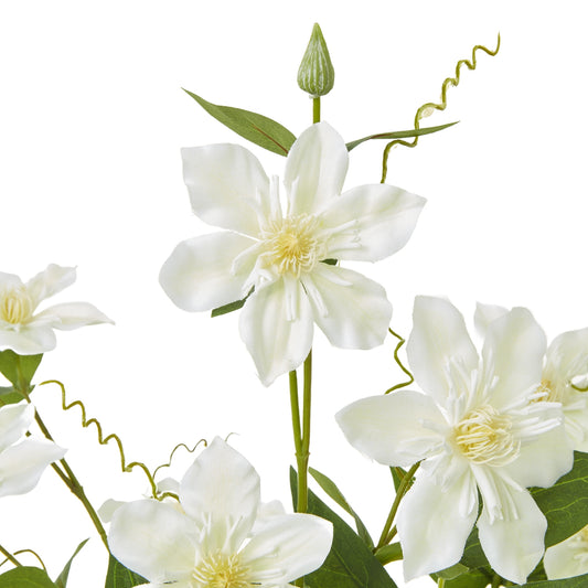 Cream pearl clematis spray with delicate, creamy-white blooms, lush green leaves, and intricate detailing for elegant decor.