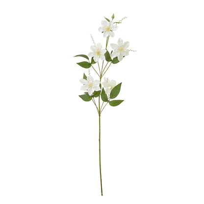 Cream Pearl Clematis Spray - Single Stem Flowers from the Quanta Home collection.
