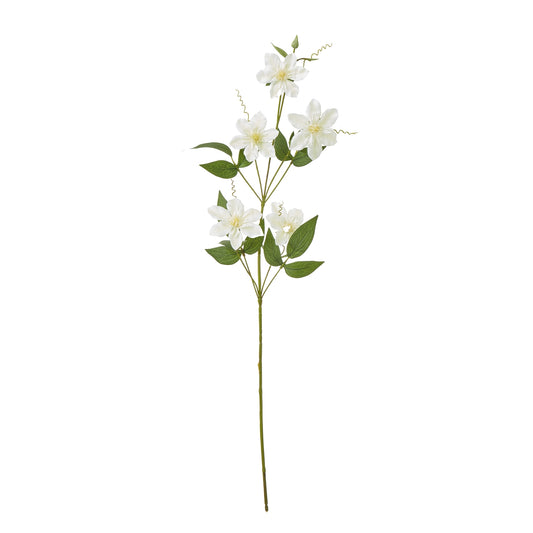 Cream Pearl Clematis Spray - Single Stem Flowers from the Quanta Home collection.