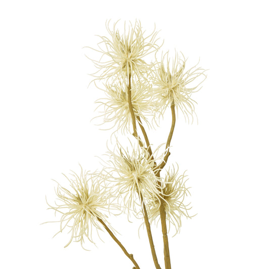 Delicate cream Xanthium spray with intricate, feathered petals and golden hues, perfect for elegant home decor arrangements.