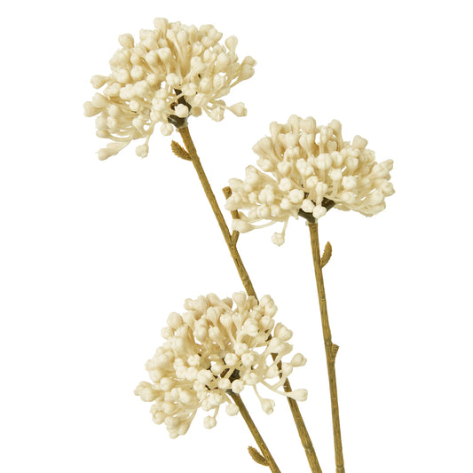 Cream allium spray with delicate, grouped flower heads on long, bendable stems, perfect for elegant home decor.